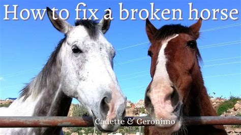 Broken Horse royalty.